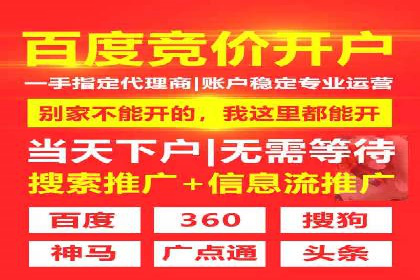 百度SEO推广案例解析与效果评估
